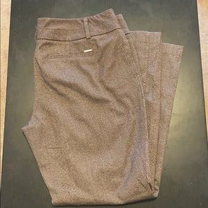 7th Avenue New York & Co Dress Pants